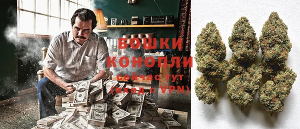 мдпв Осинники