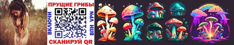 наркотики Избербаш гидра рабочий сайт Псилоцибиновые грибы Psilocybe